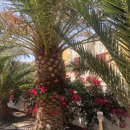 Apartamento Palms Amaya Fuerteventura * Costa De Antigua